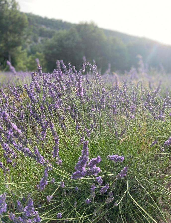 Résidence Luberon: Vue Panoramique et Piscine près du Colorado Provençal Viens Exterior photo